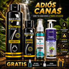 SHAMPOO CUBRE CANAS MAXIPLUS + OBSEQUIOS+ ENVIO GRATIS+pago contra entrega en todo el pais,dr5/5