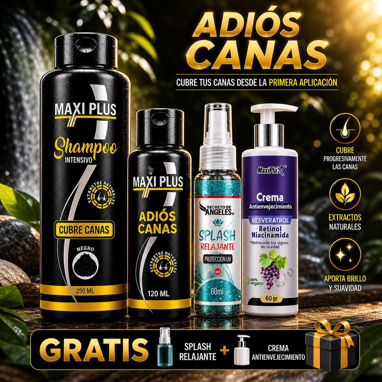 SHAMPOO CUBRE CANAS MAXIPLUS + OBSEQUIOS+ ENVIO GRATIS+pago contra entrega en todo el pais,dr5/5